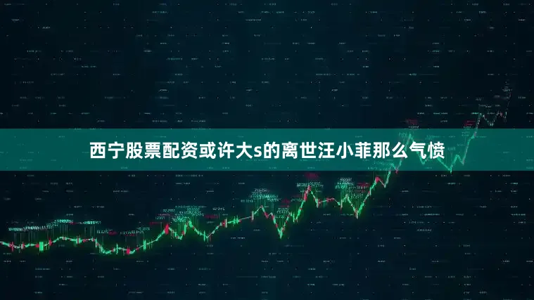 西宁股票配资或许大s的离世汪小菲那么气愤