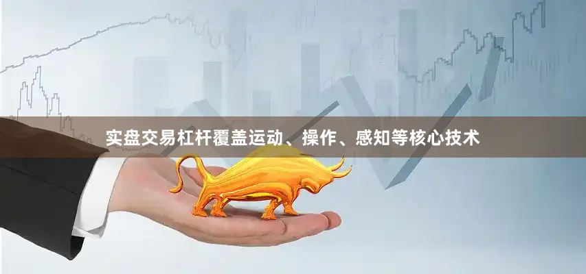 实盘交易杠杆覆盖运动、操作、感知等核心技术