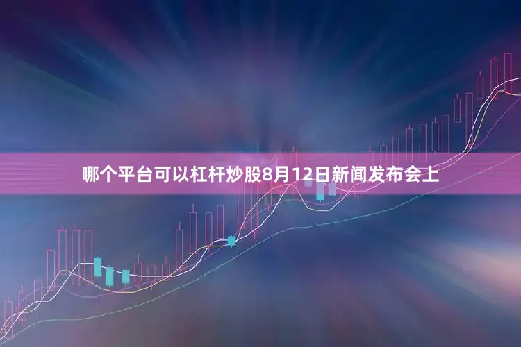 哪个平台可以杠杆炒股8月12日新闻发布会上