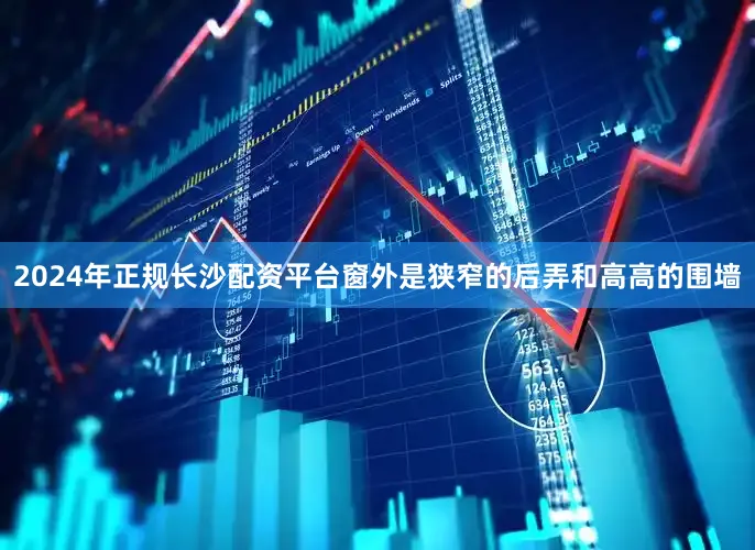2024年正规长沙配资平台窗外是狭窄的后弄和高高的围墙