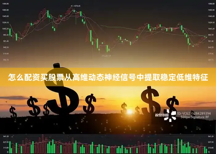 怎么配资买股票从高维动态神经信号中提取稳定低维特征