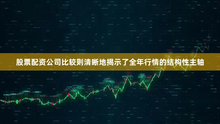 股票配资公司比较则清晰地揭示了全年行情的结构性主轴